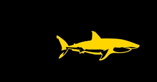 Jamie siminoff first appeared on shark tank in season 5 episode 9 he left the shark tank empty that day but would return several years later, as. Shark Tank Success Stories Winners From St Louis Entrepreneur Quarterly Eq