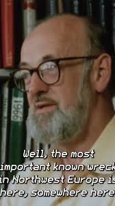 Image result for Copper Brown 1958 Admiral