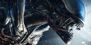 I think most people just love ridley scott's epic alien franchise and the best part is that the franchise adds new movies to movi. Every Alien Franchise Movie Ranked From Worst To Best