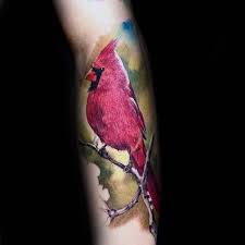 Check spelling or type a new query. 60 Cardinal Tattoo Designs For Men Bird Ink Ideas