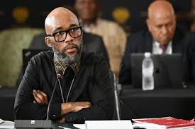 Parliament Ad Hoc Committee | Vusimuzi "Cat" Matlala's testimony at the  Kgosi Mampuru prison