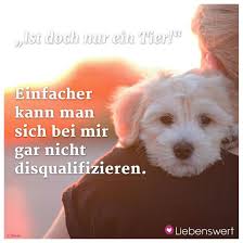 Das gegenteil ist der fall! Spruche Fur Tierliebhaber Spruche Tiere Spruche Tierliebe Tierliebe