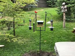Bird Feeder Pole System My Ultimate Advanced Pole System From Wild Birds Unlimited Love It Wild Birds Unlimited Wild Birds Crazy Bird