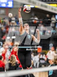 Ellyse Taylor's High School Career Home