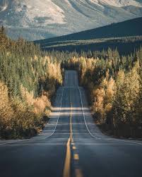 It S Incredible How Photogenic Natural Contrasts Can Be To The Human Eye Instagram Nature Photography