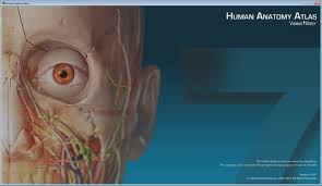 اصدار جديد اطلس تشريح جسم الانسان ثلاثي الأبعاد Visible Body Human Anatomy Atlas V7 4 01 Anatomy Human Anatomy Body