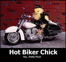 We did not find results for: Motorcycle Birthday Memes