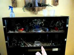 Sharing my polystyrene basking platform. Entertainment Center Transformed Into Homemade Vivarium Part 2 Youtube