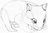 Wombat Stained Glass Patterns Free Australian Animals Stone Art