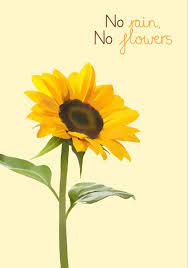 Sunflower Quote Illustration Digital Artwork Summer Prints Digital Artwork Personalized Prints