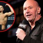 'Complete chaos'… Dana White apologized after Nate Diaz forced him make an  unwanted piece of UFC history