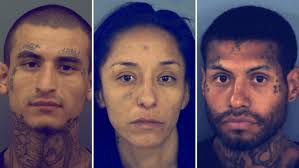 Higley School District approves Dr. Nate Carman for superintendent in  unanimous vote