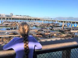 Explore Pier 39 In San Francisco With Your Kids