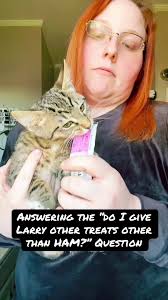 Larry and His Love for Ham: A Cute Cat Tale