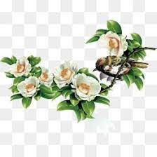 Millions Of Png Images Backgrounds And Vectors For Free Download Pngtree Spring Flowers Background Free Watercolor Flowers Spring Illustration