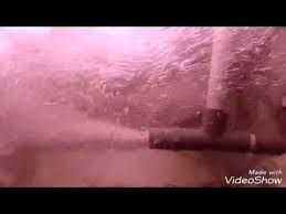 Youtube Kolam Ikan Air Tawar Hidroponik