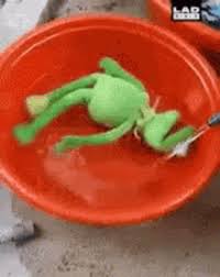 Kermit The Frog Gifs Tenor
