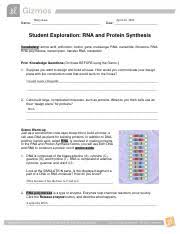 Nutrients answers rar in the rna and protein synthesis gizmo™, you will use both. Rna Protein Synthesis Gizmo Completed Docx Name Date Student Exploration Rna And Protein Synthesis Vocabulary Amino Acid Anticodon Codon Gene Course Hero