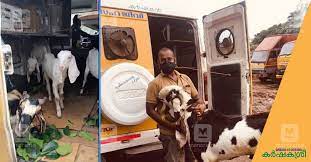 Transport via cargo can be stressful for animals. à´ª à´± à´± à´Ÿ à´° àµ»à´¸ à´ª àµ¼à´Ÿ à´Ÿ à´™ à´² à´• à´¡ à´£ àµ½ à´¯ à´µ à´• à´•àµ¾à´• à´• à´µà´´ à´• à´Ÿ à´Ÿ à´¯ à´¯ à´• àµ¼à´· à´• à´¸ à´° à´­ Pet Transportation Services