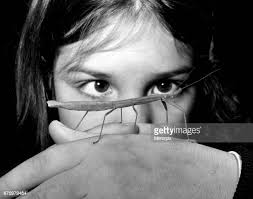 113 Arthur Barton Fotos und hochauflösende Bilder