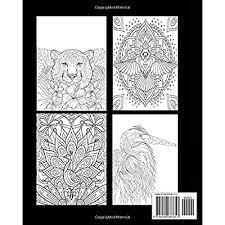 Some of the horses in this set are included in the amazing world of horses and animal creations coloring books. Buy Animal 3 Books In 1 This Animal Coloring Book For Adults Include 95 Unique Animal Designs With Birds Tigers Deer Birds Fish Lions Dogs And So Many More Paperback