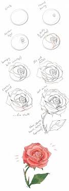 Once you've got a solid drawing down, use a fine tip pen or marker to polish up those sketchy lines. 10 Realistic Flower Drawings Step By Step Easy Drawing Tutorials