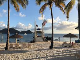 St Lucia Takes Steps To Deal With Seaweed Problem - Cnw Network