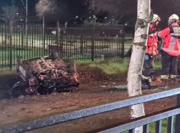 Cámaras de vigilancia muestran que conductora de automóvil evitó atropellar  a dos perros antes de protagonizar mortal volcamiento en la avenida Aníbal León  Bustos