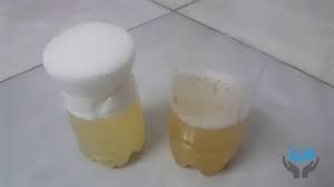 soap water homemade pregnancy test
