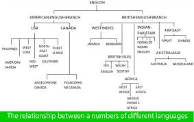 What is a diagram in english. The Diagram Shows The Relationship Between Many Different Languages Ielts Fever