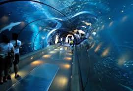 Découvrez le classement des plus grands aquariums qui abritent le plus d'espèces aquatiques! Top Aquariums Dans Le Monde En 2016 Proxifun