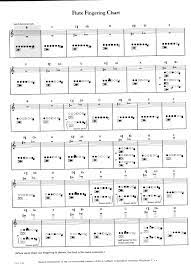 Pin On I Am A Musician