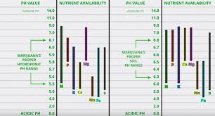 7 Cannabis Requires A Ph Range Around The Neutral Value Of