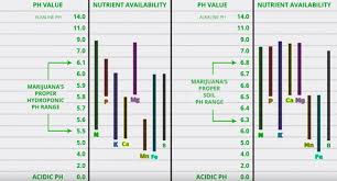 7 cannabis requires a ph range around the neutral value of