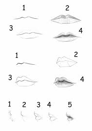 Most anime drawings include exaggerated physical features such as large eyes, big hair and elongated limbs. Drawing Anime Lips How To Manga Expert