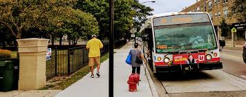 How To Guide Riding The Bus Cta