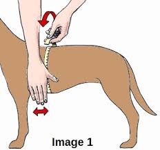 julius k9 size guide julius k9 harness size chart sizing