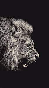 1440pixels x 2560pixels sekianlah artikel hd amoled wallpaper lion kali ini, semoga dapat membantu dan bermanfaat untuk anda. Powerful Lion Wallpaper Iphone Xr