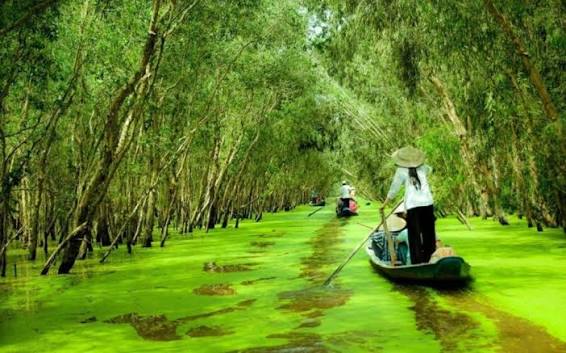 Kinh nghiệm thuê xe du lịch đi Miền Tây mùa nước nổi: Đi đâu, ăn gì?