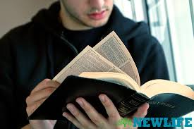 Check spelling or type a new query. A Beginner S Guide To Reading The Bible New Life