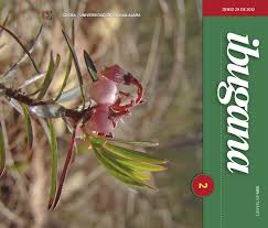 Image result for Ateleia herbert-smithii