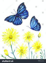A butterfly coloring page for kids. Flowers Drawings Inspiration Watercolor Illustration Of Botanical Flowers And Butterflies Drawing Colors Man Flowers Tn Leading Flowers Magazine Daily Beautiful Flowers For All Occasions