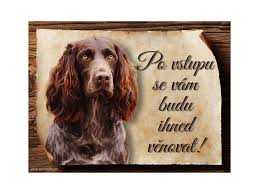 Image result for německý křepelák postava