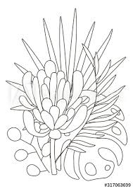 Leopard jungle colouring pages (page 2). Hand Drawing Coloring Pages For Children And Adults Linear Style Flower Coloring Book For Creative Creativity Antistress Coloring Book With Tropical Flowers Protea Orchid Monstera Palm Stock Vector Adobe Stock