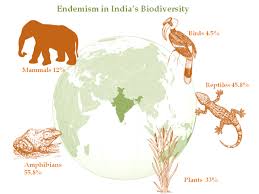 Endemic species are often endangered, and particular examples may become a focus point for campaigns to protect biodiversity in a given environment. Biodiversity In India
