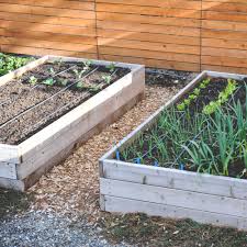 Add 1/4 tubing to each plant. Why Drip Irrigation Seattle Urban Farm Company