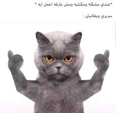 Pin By Lyan Hitham On ضحك Funny Funny Arabic Quotes Arabic Funny Funny Comments
