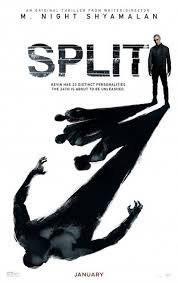 Internal political differences and the geographical split had resulted in social fragmentation and growing polarization within the society. Split Movie Review Film Summary 2017 Roger Ebert