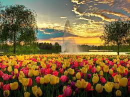 Is the chicago botanic garden open today. Chicago Botanic Garden Glencoe Il Things To Do In Suburbs Chicago