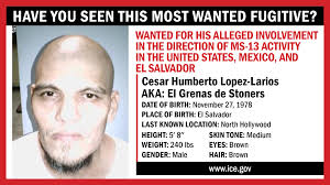 Archived: MS-13's highest-ranking leaders charged with terrorism offenses  in US